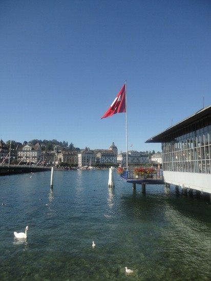 vista lago