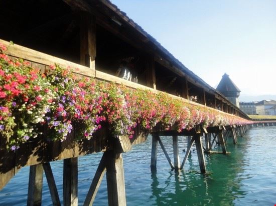  Luzern  