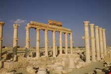 Le rovine di Palmira