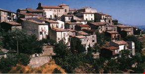 lattarico