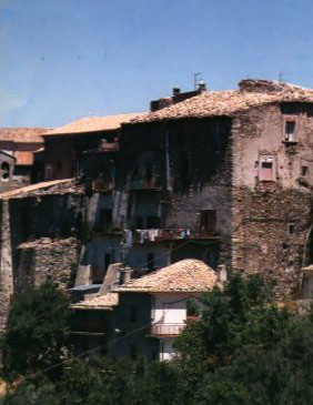 lattarico