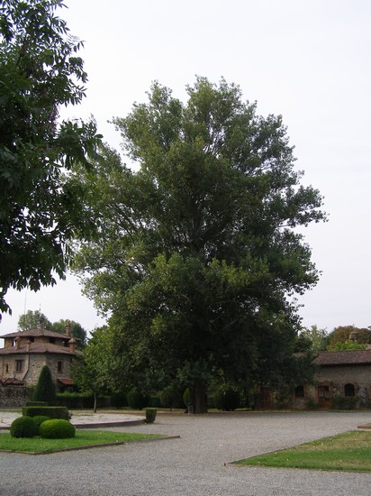 Grazzano Visconti