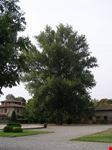 Grazzano Visconti