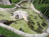 Zoo Le Cornelle