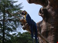 Zoo Le Cornelle