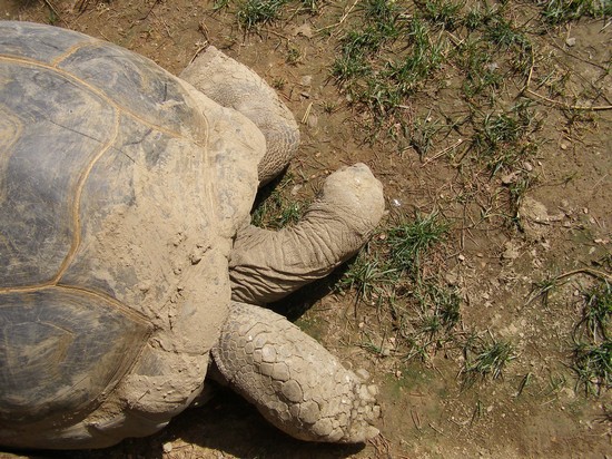 Zoo Le Cornelle