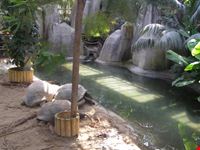 Zoo Le Cornelle