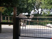 Zoo Le Cornelle