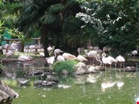 Zoo Le Cornelle