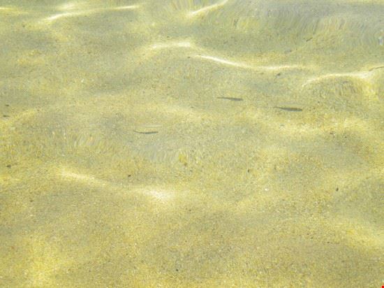  Le acque della spiaggia di Sikia sono talmente cristalline da permettere di fotografare i pesci che nuotano in mezzo metro d'acqua!!  