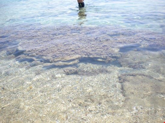  Sabbia di sassolini, ma acqua perfettamente cristallina  