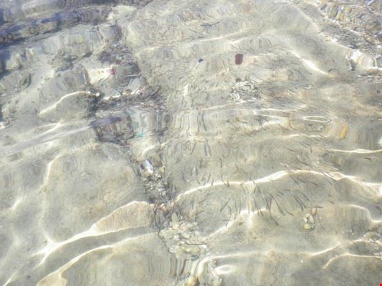  A pochi centimetri dalla riva, banchi di pesci nuotano tra i piedi dei bagnanti, perfettamente a loro agio.  