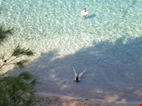 Vista dall'alto di Elia Beach