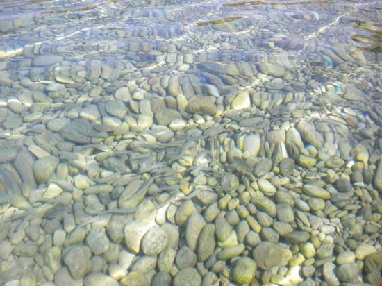  Banchi di pesci sulla riva di Koviou Beach  