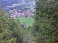 passeggiata nel bosco