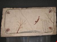 Museo Archeologico di Paestum
