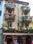 Scorcio