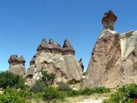 Cavusin