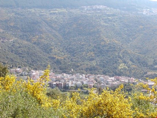 Centro storico veduta di Triei dalle campagne di nonocoli  
