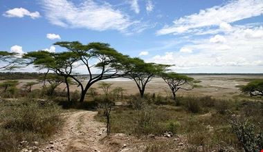 Serengeti Serengeti