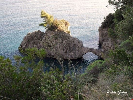  Amalfi  