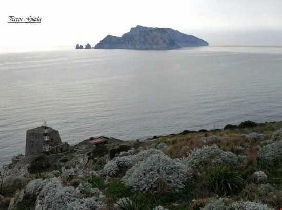  Dalla frazione Termini (Massa Lubrense) ammiriamo Capri in tutto il suo splendore da Punta Campanella.  