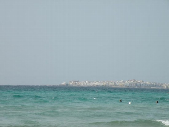 mare