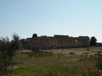 Paestum
