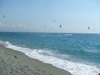 Mare