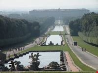 Reggia