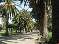 Viale delle Palme
