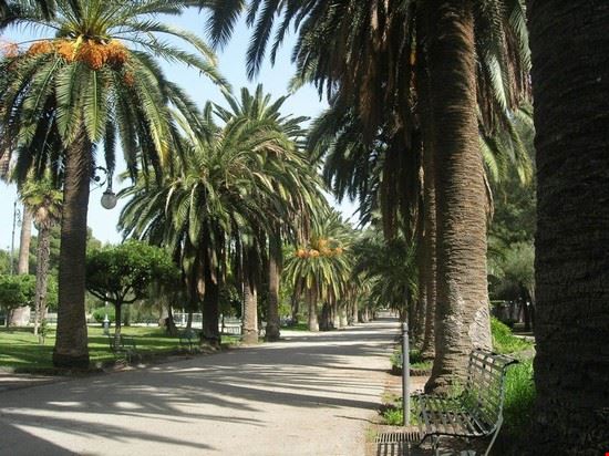  Viale delle palme nel "Giuardino della Vittoria"  