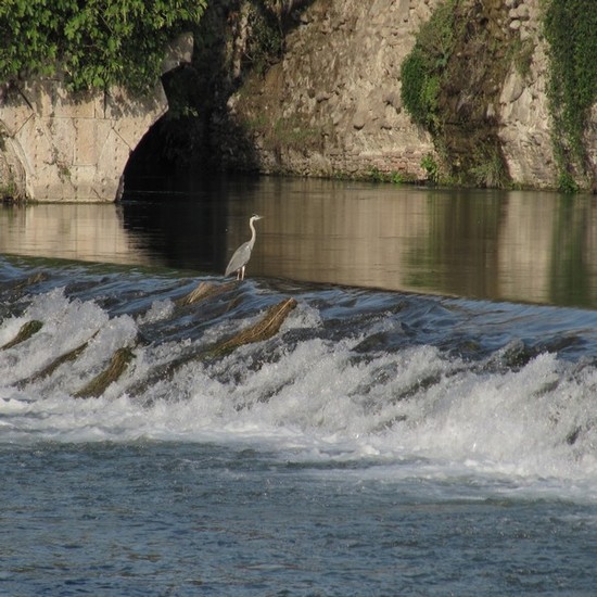 Mincio a Borghetto