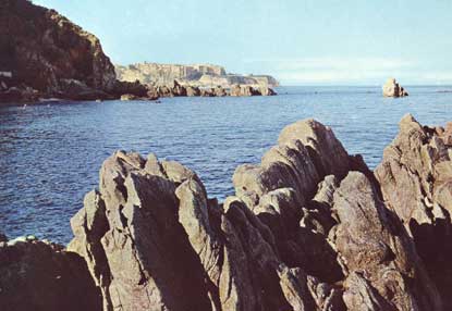 La scogliera