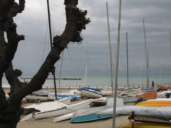  Taggia  