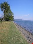 Lago 1
