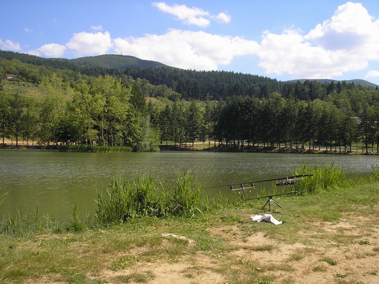lago 3