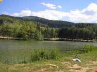 lago 5
