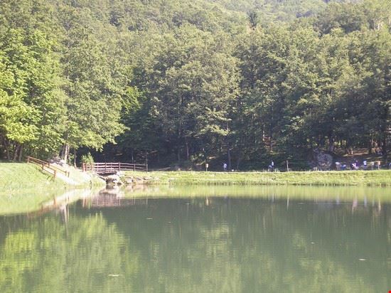  Bagno di Romagna  