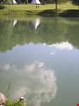 lago 8