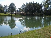 lago 9