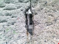 AL DILA' DEL MURO.....