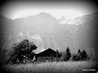 verso maso toscana
