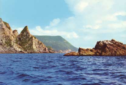 Scogliera di Capo Vaticano