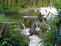 collodi e il parco di pinocchio