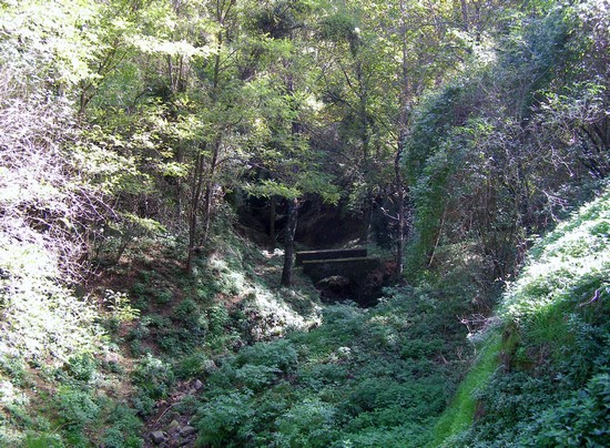 stiappa frazione di pescia