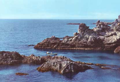 Scogliera Capo Vaticano
