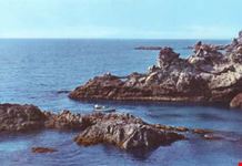 Scogliera Capo Vaticano