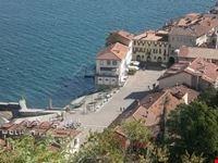 Arona