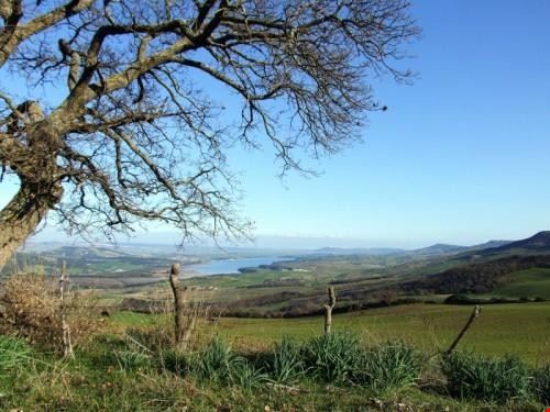  Situato a due chilometri dall'abitato, è il più grosso polmone verde del paese e appendice naturale dell'oasi WWF di S. Giuliano. Da qualche anno è stata realizzata un area attrezzata per trascorrere le giornate immersi nella natura, un area giochi per i più piccoli e anche un ristorante per i più esigenti. Inoltre è presente un sentiero turistico all'interno del bosco per consentire passeggiate a cavallo o piedi e poter respirare cosi, l'aria incontaminata di questa zona. Di notevole importanza ambientale sono anche la "Foresta", un vasto territorio boschivo di proprietà privata, e l'altopiano di sant'Antonio abate, dove abbonda anche la presenza di macchia mediterranea e di specie floristiche e faunistiche molto rare.  